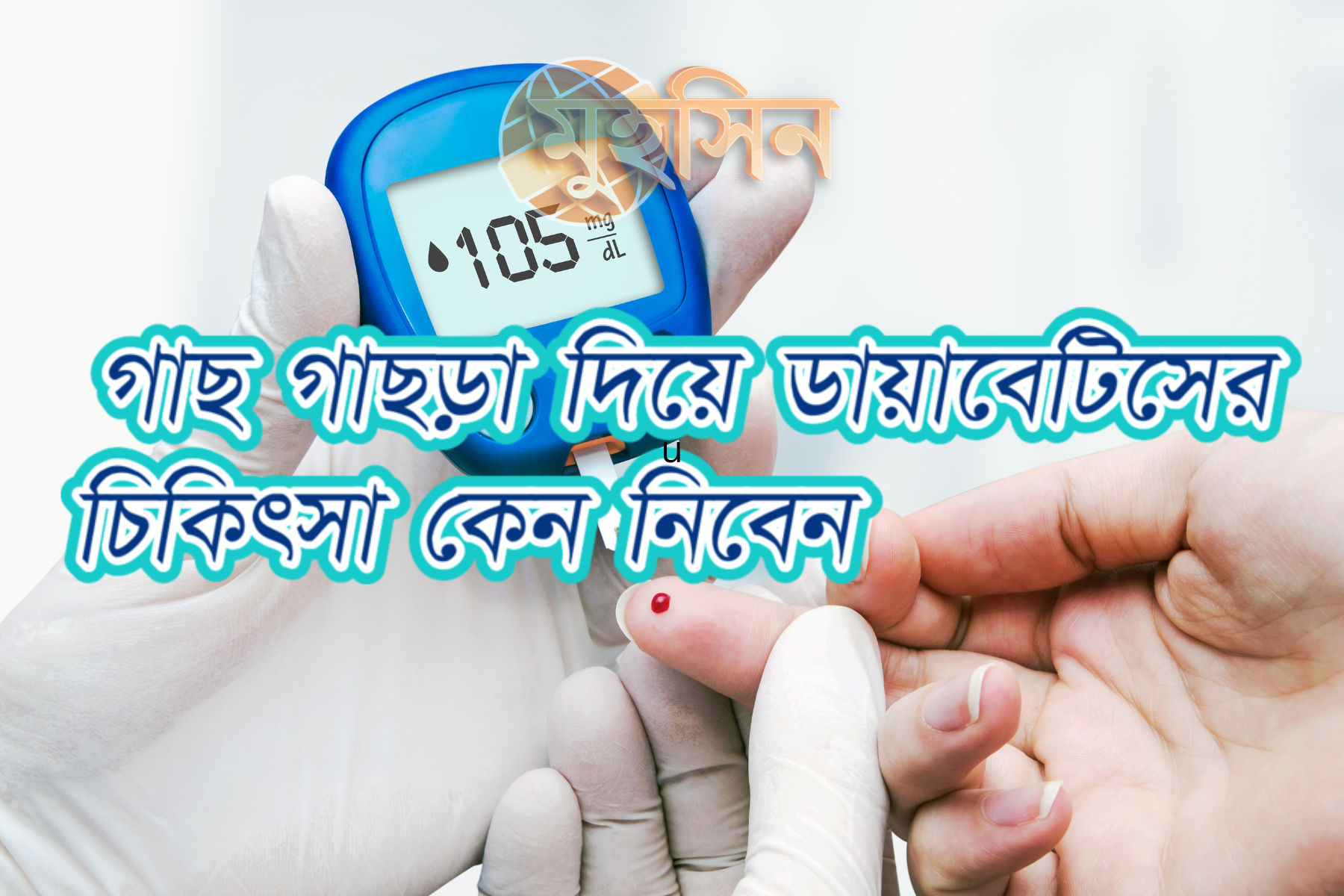 গাছ গাছড়া দিয়ে ডায়াবেটিসের চিকিৎসা কেন নিবেন